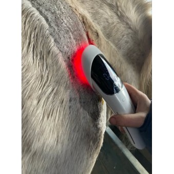 Huren Cellkick