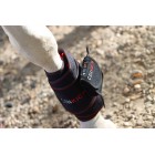 Cellkick Beenpad Pro 