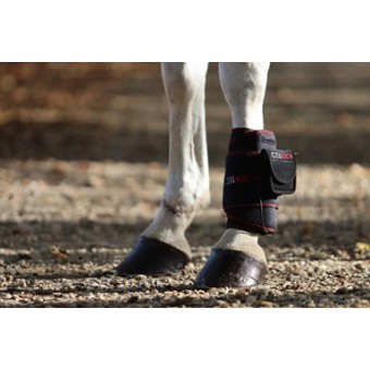 Cellkick Beenpad Pro 