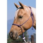 Double Diamond type 125 Buck Brannaman Double Diamond type 125 Buck Brannaman