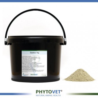Phytovet Gastico 1KG