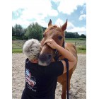 Osteopathisch Consult tarieven