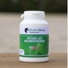 Mastic Horse 120 Mastic Horse 120