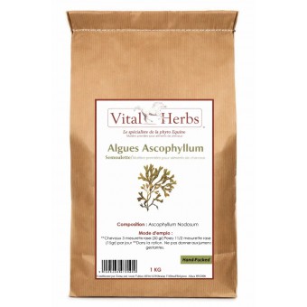 Vitalherbs Ascophyllum nodosum
